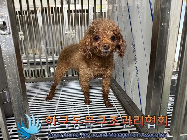 한국동물구조관리협회_411305202400270